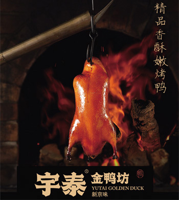 業(yè)務範圍